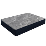 Nệm Lexus Firm Bronze 11" Firm 1 USA
