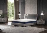 Nệm Lexus Firm Eva 14" siêu cứng sản xuất tại Mỹ