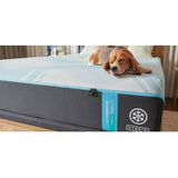 Tempur-Pedic TEMPUR-breeze° 8° Cooler - Nệm 13" Firm (LUXEbreeze) 
